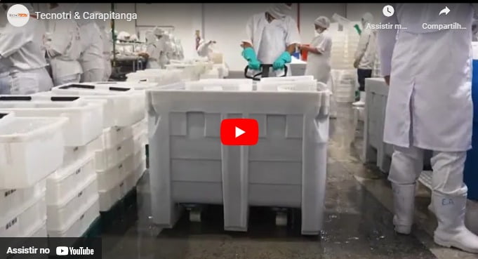 Tecnotri & Carapitanga
