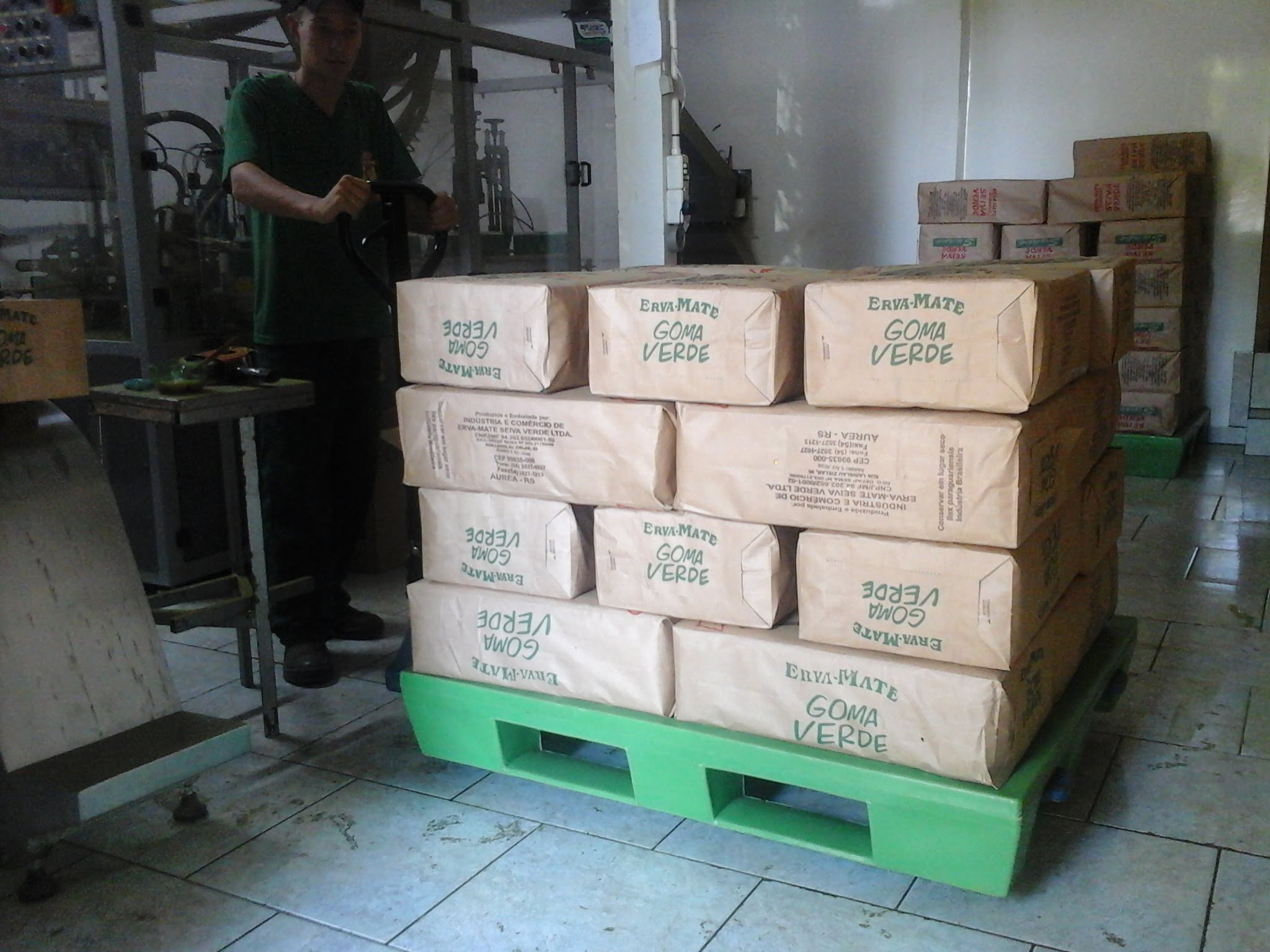 Pallet Plástico - Ervateiras