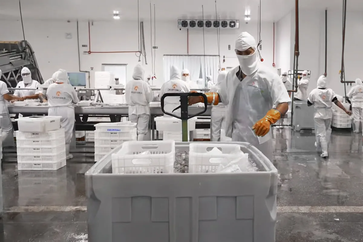 Soluções para pescados