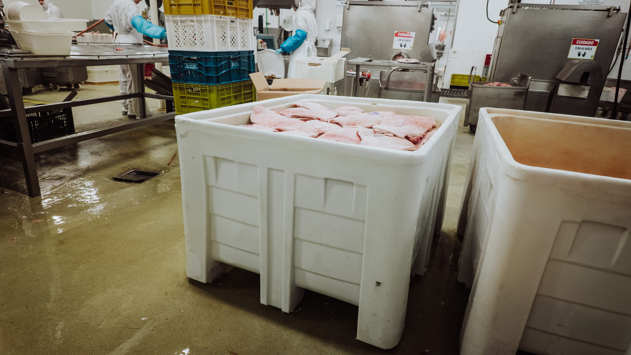 Solução para Frigorífico