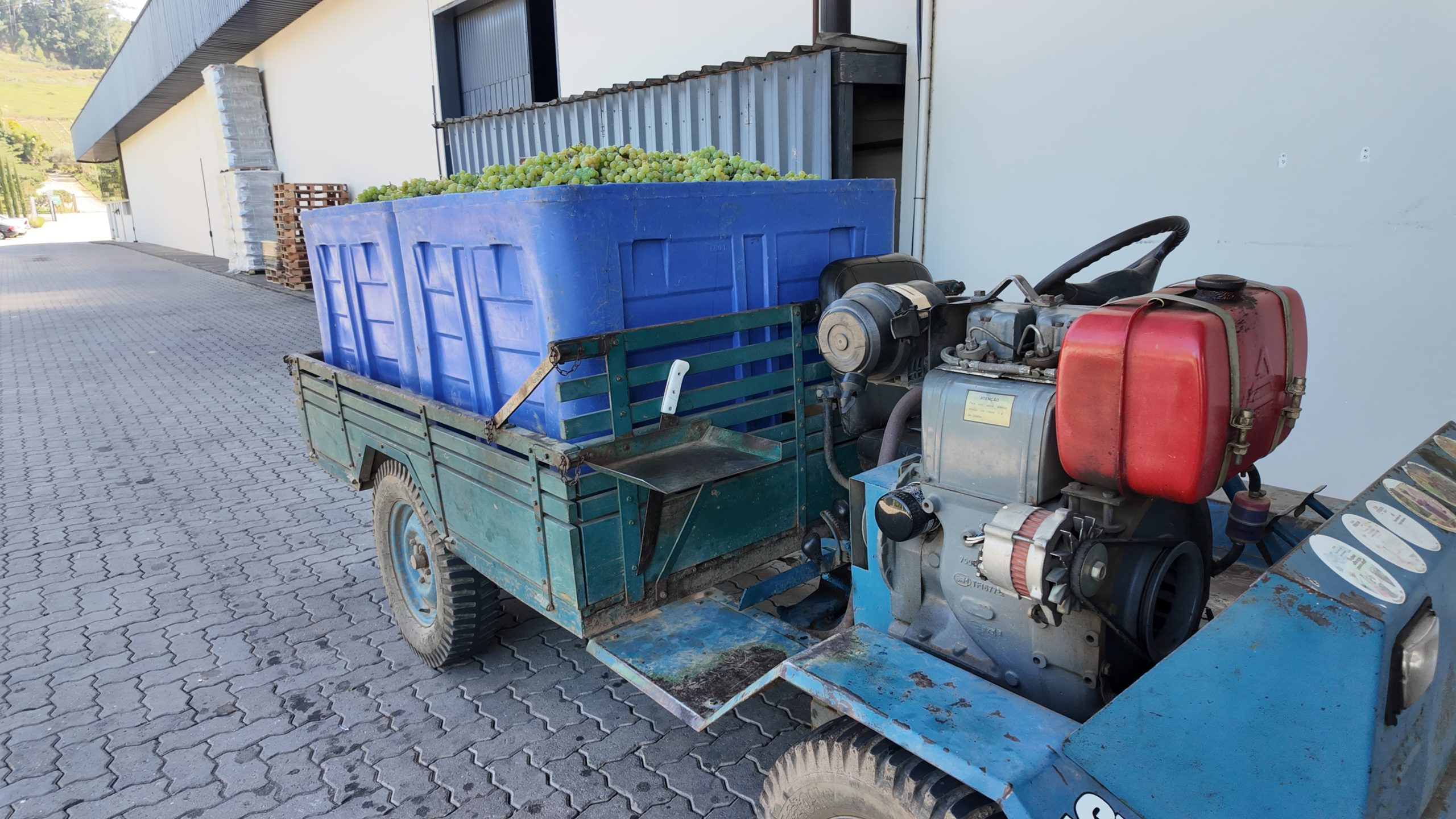 Soluções para Vitivinícola