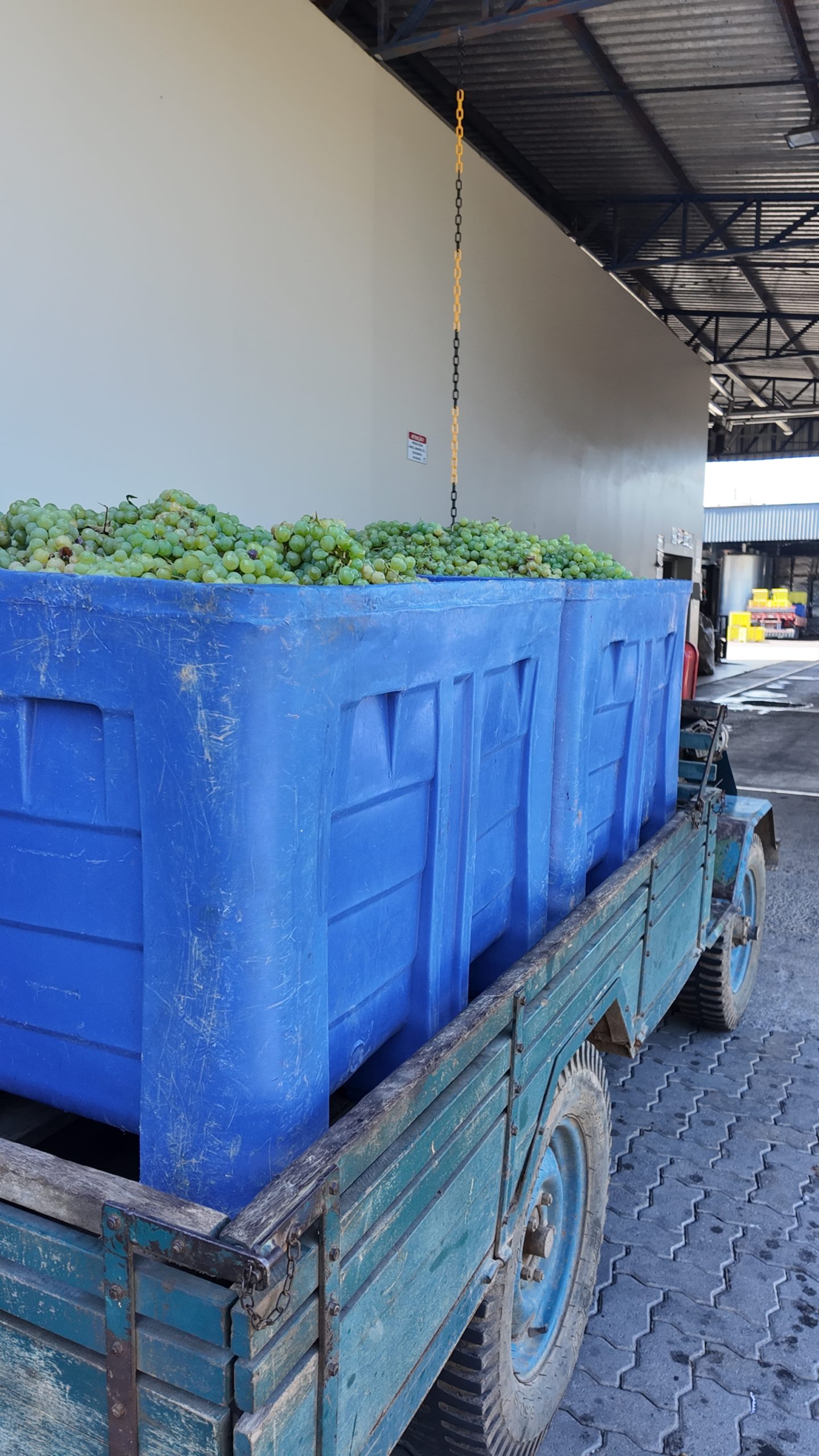 Soluções para Vitivinícola