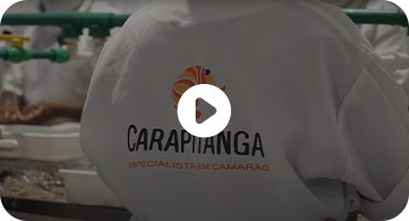 Carapitanga