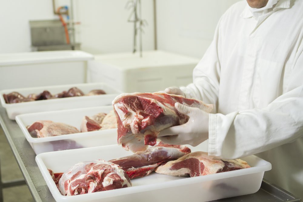 Veja como otimizar a logística em frigoríficos