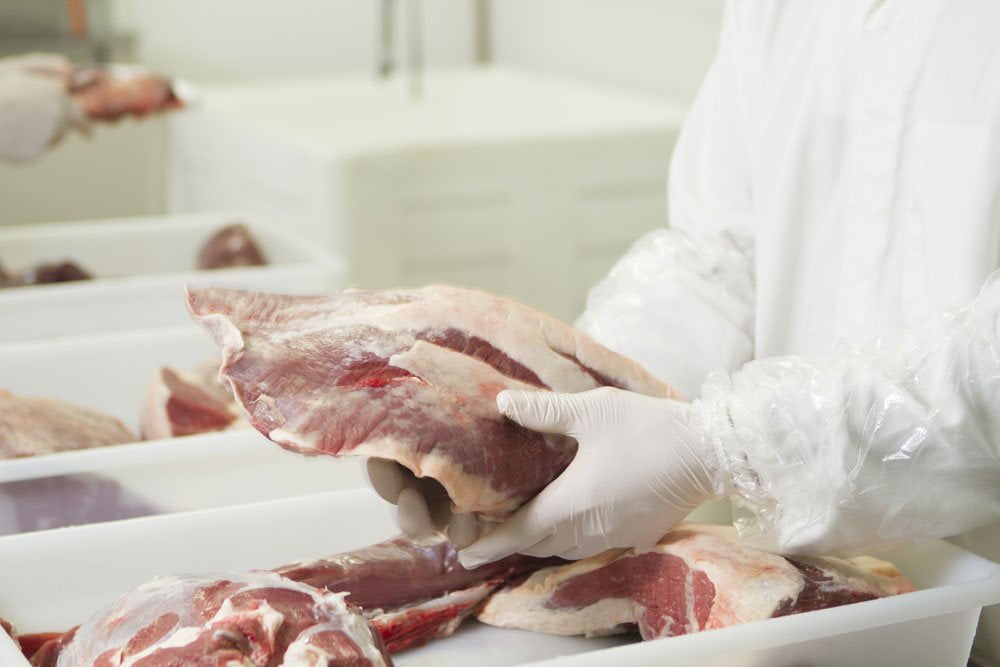 Conheça as especificações para se enquadrar à norma ISO 22.000