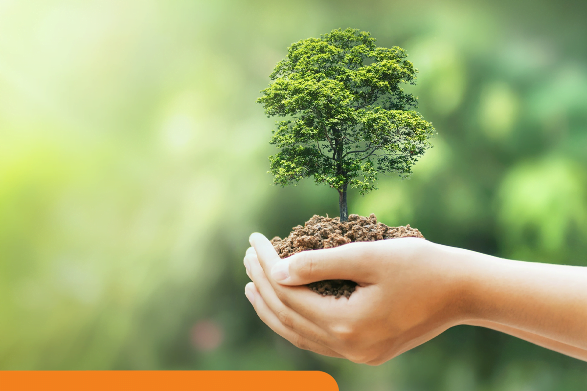 Conheça a certificação ISO 14000 e saiba por que conquistá-la