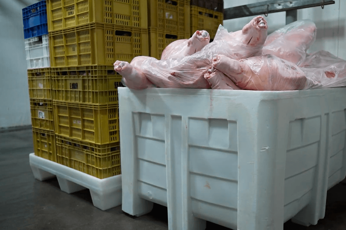 Veja como as soluções Tecnotri aumentaram a produtividade da RZ La Delizia