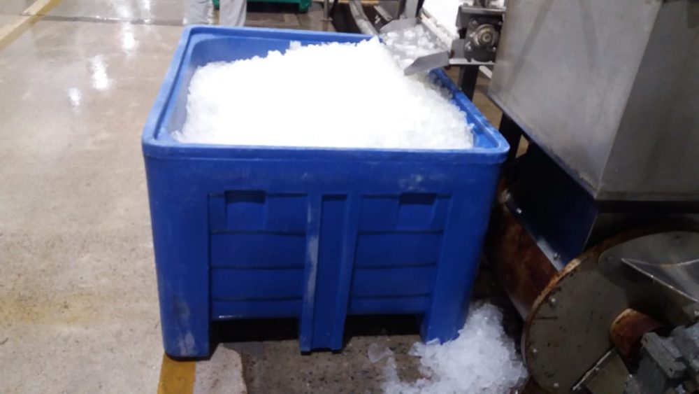 Como ter um armazenamento seguro na indústria de pesca