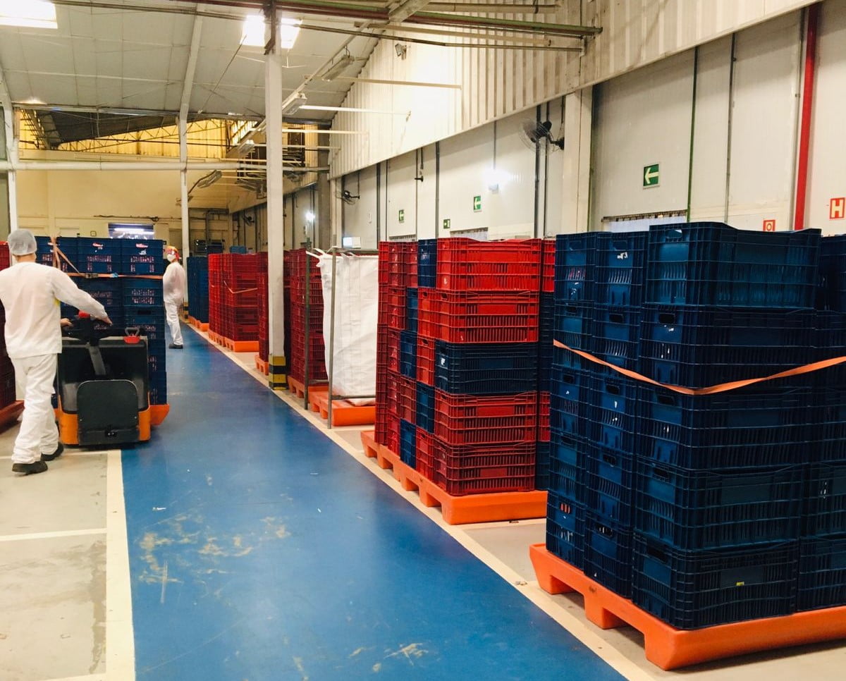 Boas práticas de fabricação na indústria alimentícia