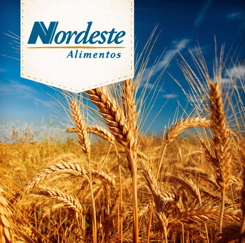 Nordeste Alimentos. O Pallet Plástico Trazendo Inovação e Qualidade Nos Processos Produtivos