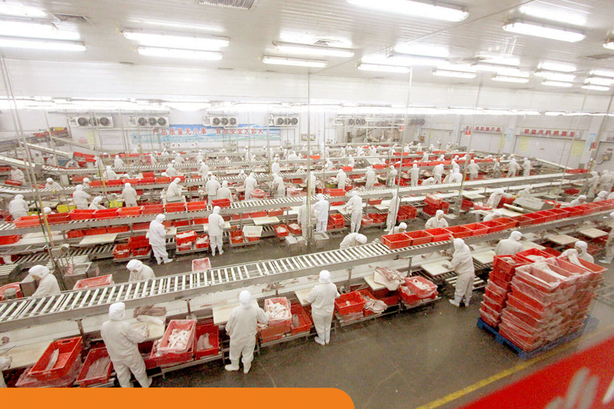 Norma BRC: o que é e como os pallets rotomoldados podem ajudar em sua implementação