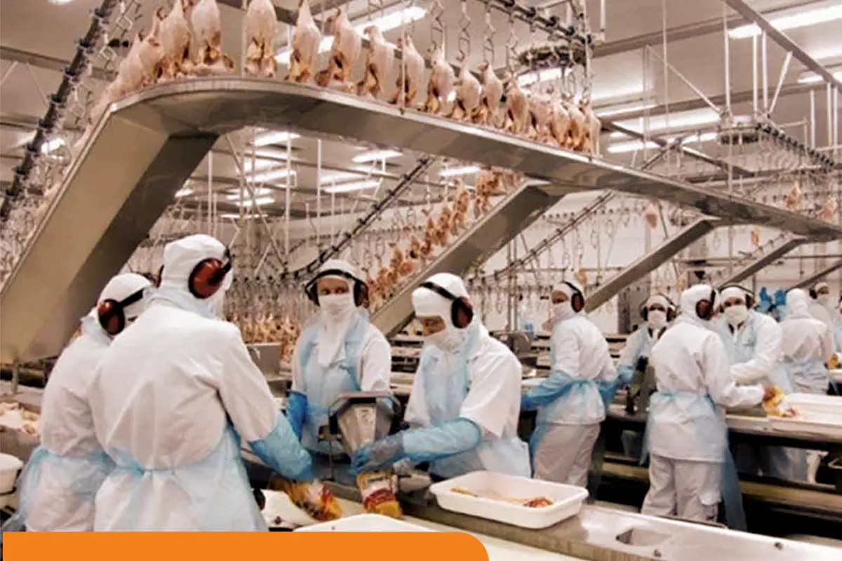 Fique por dentro da NR 36 e o seu papel em frigoríficos