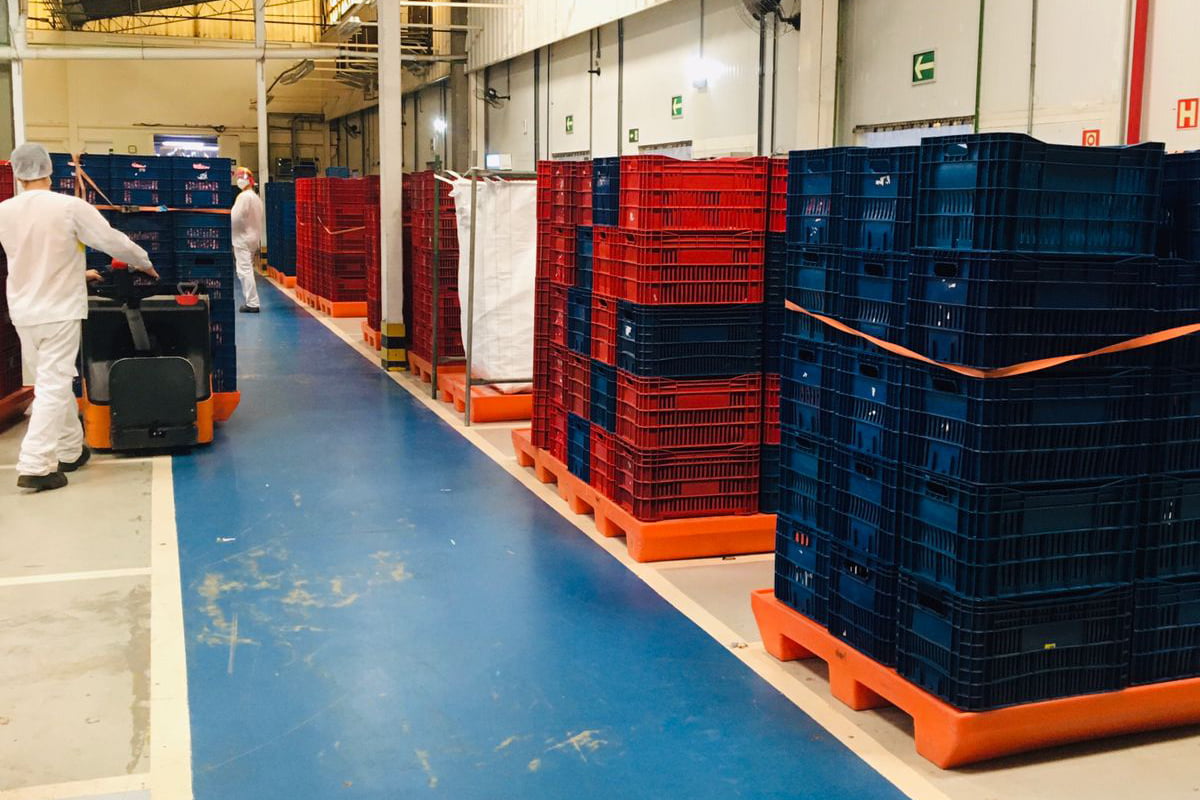 Características dos Pallets Plásticos garantem crescimento do setor