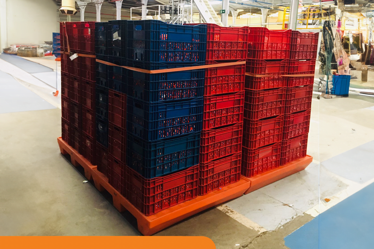 Segmento alimentício: confira as principais normativas e saiba como a Tecnotri pode ajudar a sua empresa