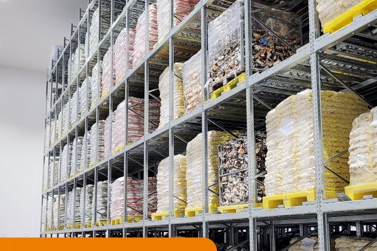 O que é o sistema RFID e como funciona em pallets?